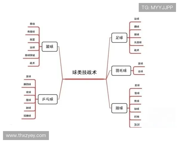 南京篮球队战术解析：构建高效控制体系的策略与实践探讨