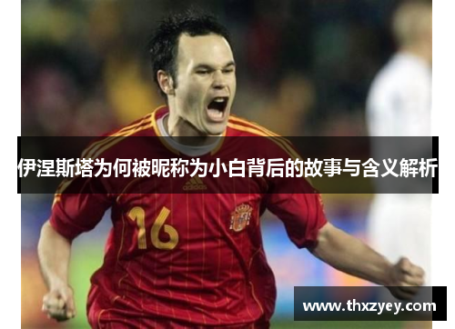 伊涅斯塔为何被昵称为小白背后的故事与含义解析
